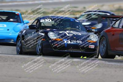 media/May-31-2025-PCA Golden Gate (Sat) [[8f9c8200fc]]/Club Race/Session 2 (Sunset)/